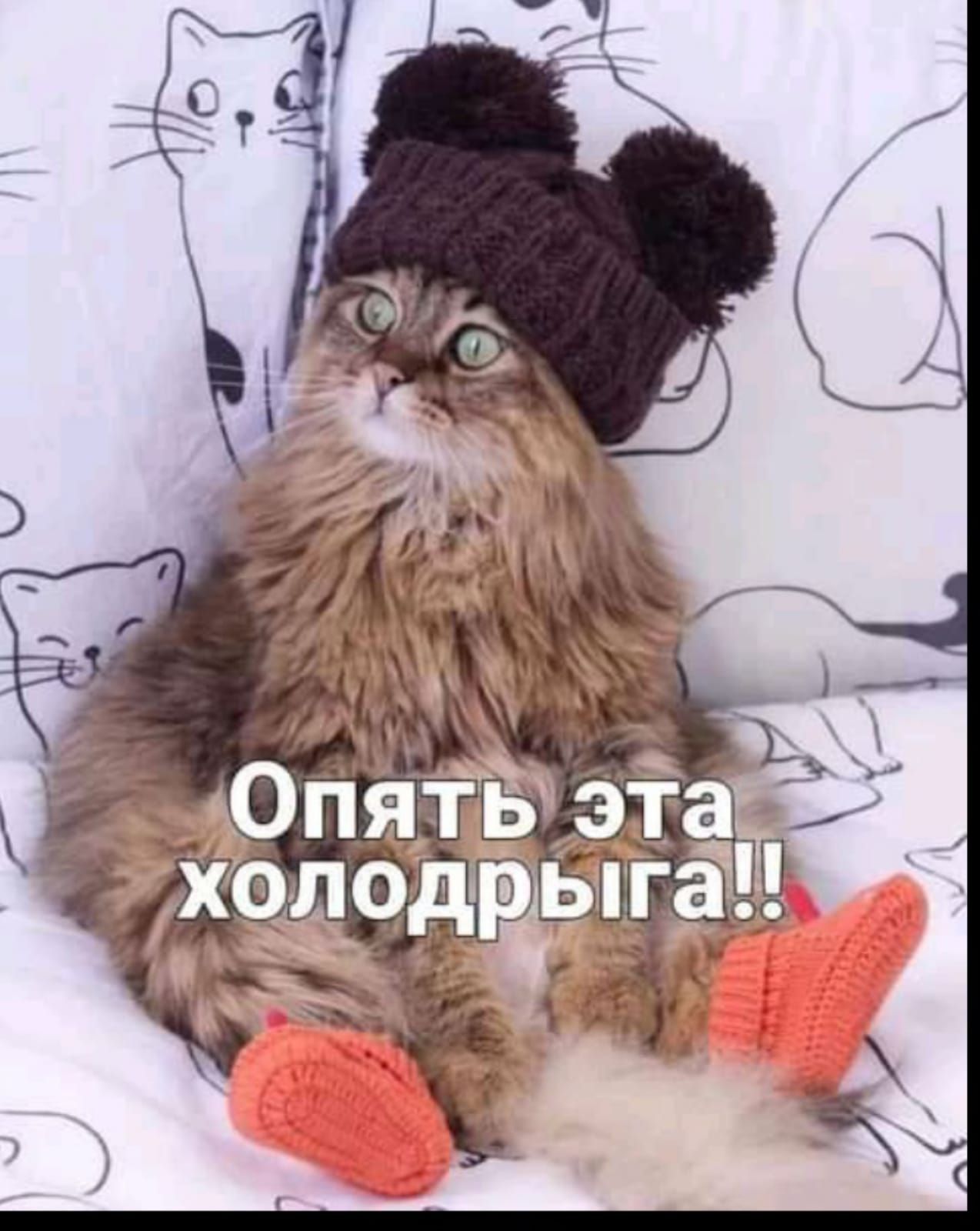 _ Ъ Опять эта __ _лодрь _ _ __ г