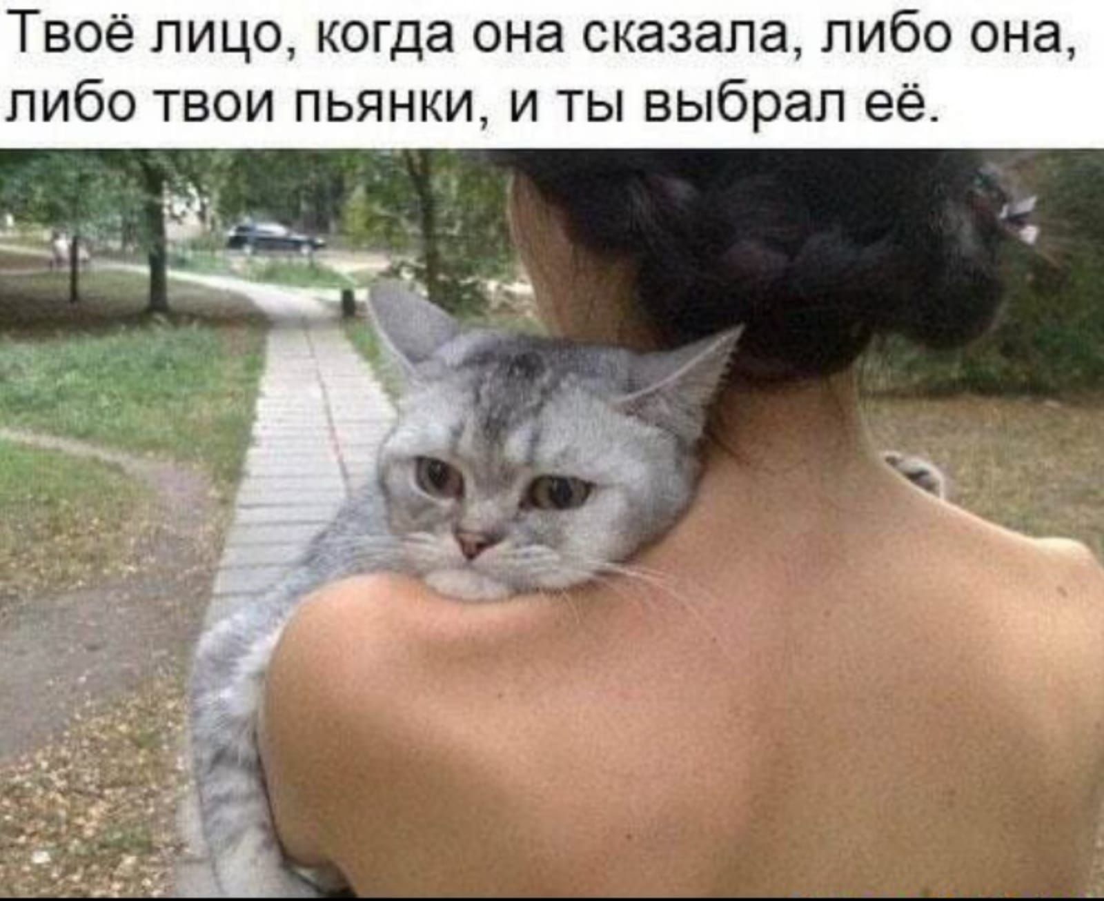 Твоё лицо когда она сказала либо она либо твои пьянки и ты выбрал её