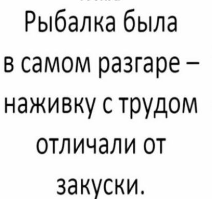 Рыбалка была в самом разгаре наживку с трудом отличали от закуски