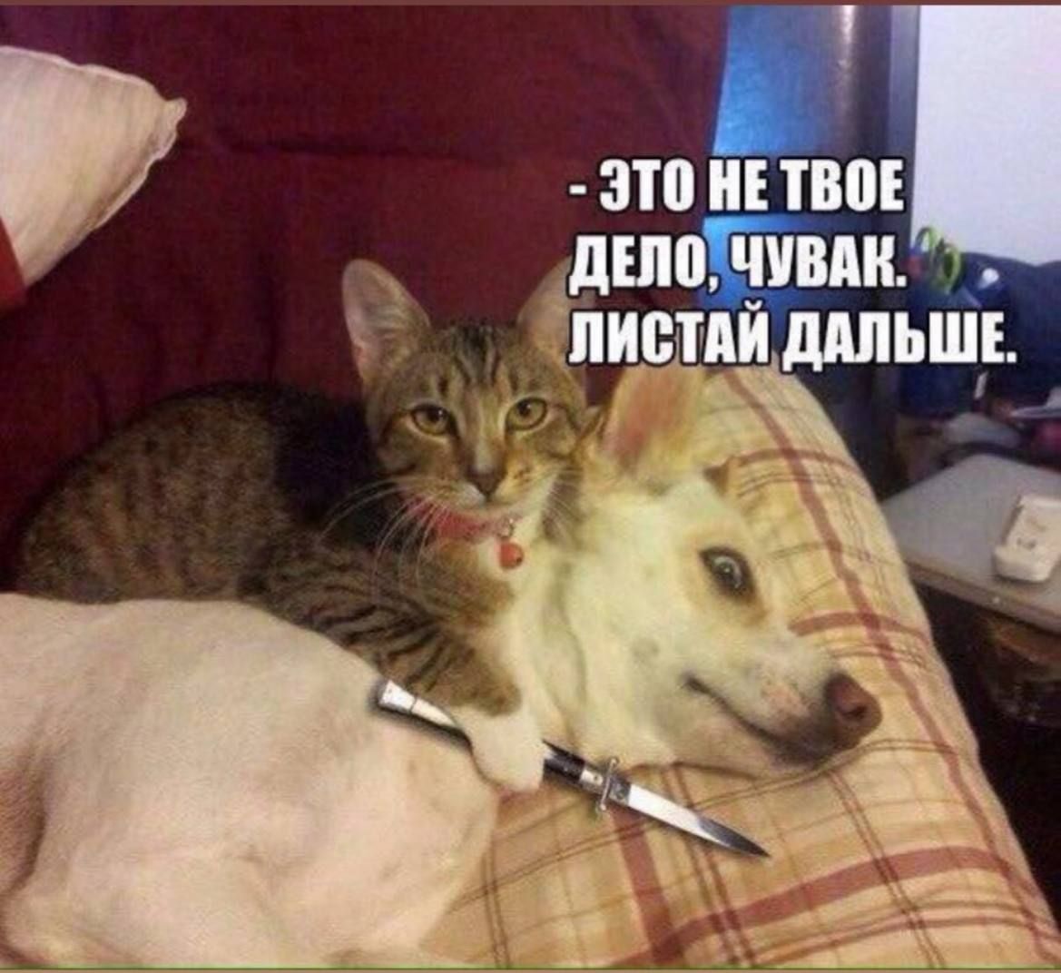 30 ТВ АдшпЩЕлш