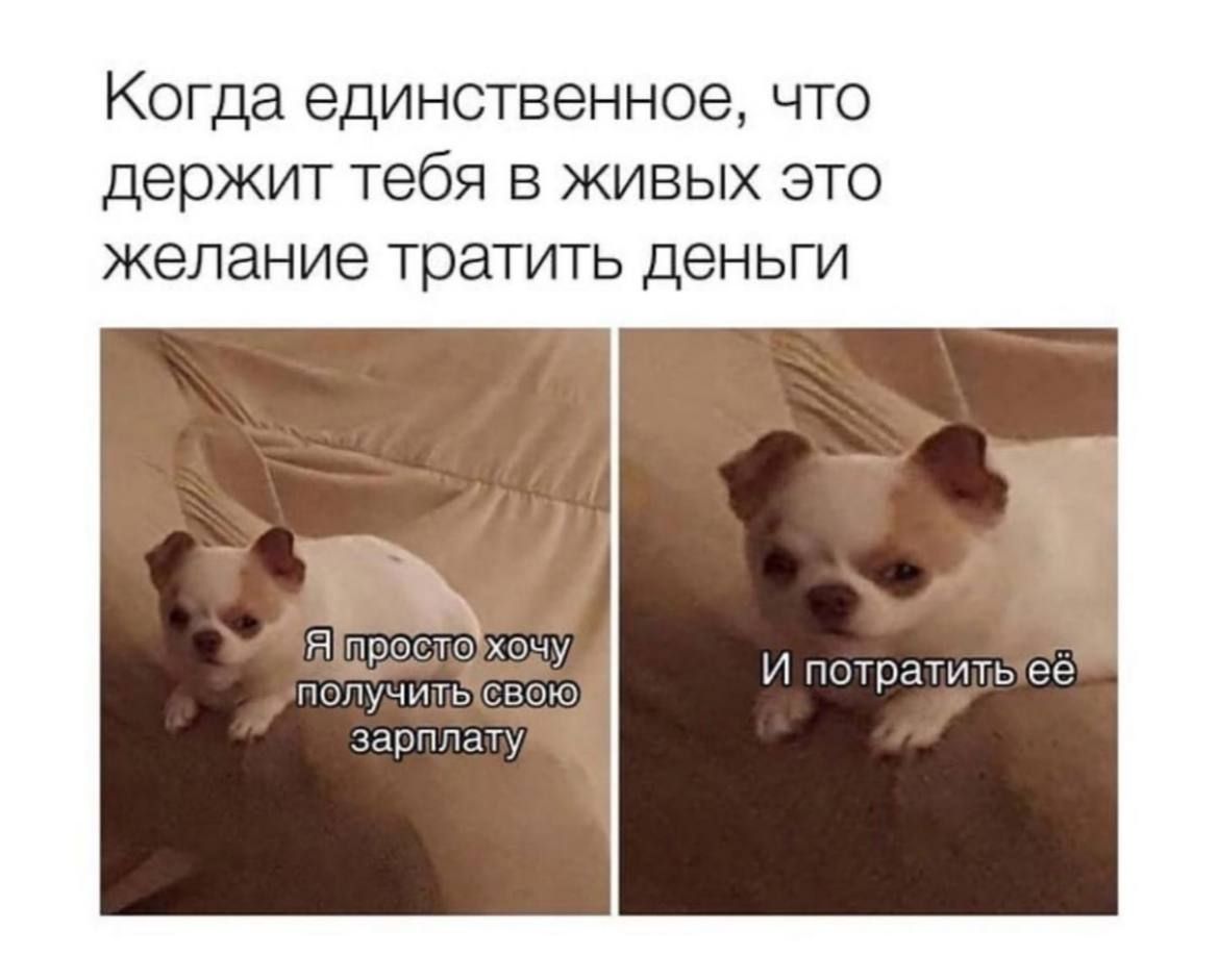 Когда единственное что держит тебя в живых это желание тратить деньги Я просто хочу получить свою зарплату И потратить её