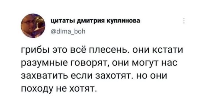 цитаты дмитрия куплииова аітароп ГРИбЫ ЭТО ВСЁ ПЛЭСЭНЬ ОНИ кстати разумные ГОВОРЯТ ОНИ МОГУТ НЭС ЗЭХВЗТИТЬ ЭСЛИ ЗЗХОТЯГ НО ОНИ ПОХОДУ не ХОТЯТ