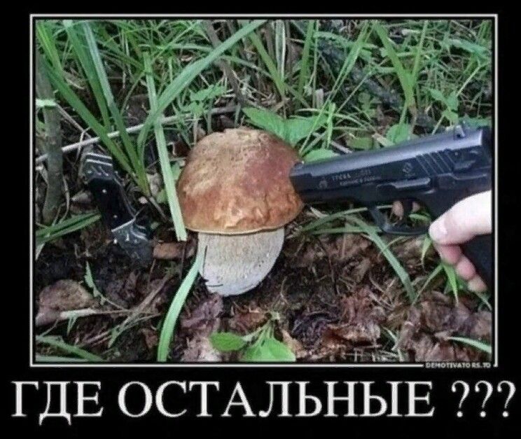 гдЕОСТЬАЛНЫЕ