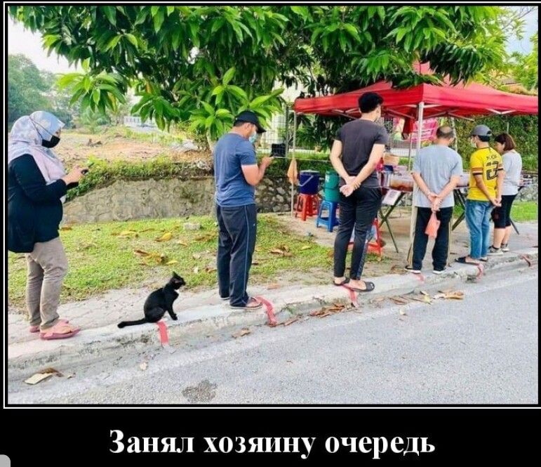 Занял хозяину очередь