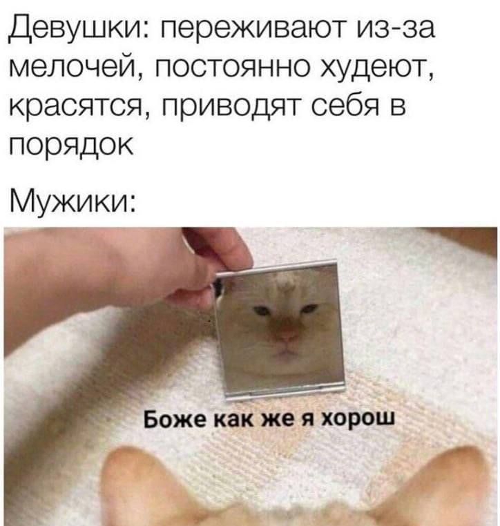 Девушки переживают из за мелочей постоянно худеют красятся приводят себя в порядок Мужики г