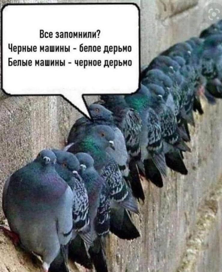 Все запомнили Черные машины белое дерьмо Бепые машины черное дерьмо