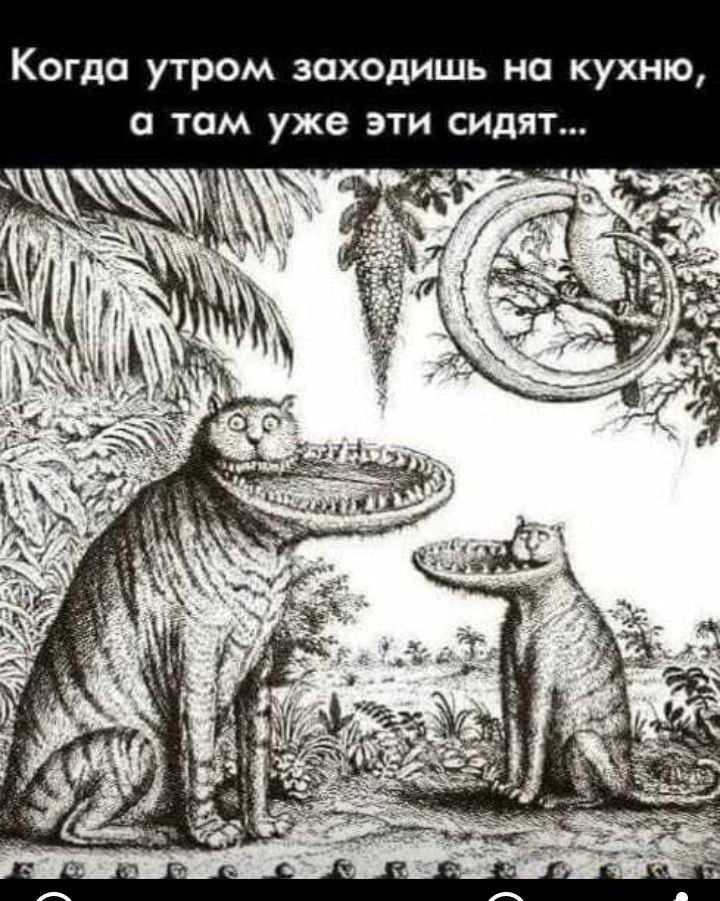 Когда утром заходишь на кухню о там уже эти сидят