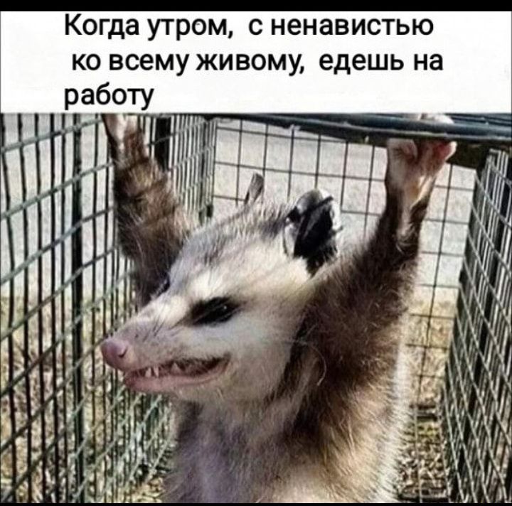 ю Ь Т С И В а Н е Н С м 0 Э Ш 0 К а Н Ь ш 6 д е Ул М о В и ж У М 6 с В