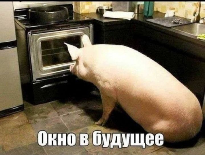 онноъбчдпщее