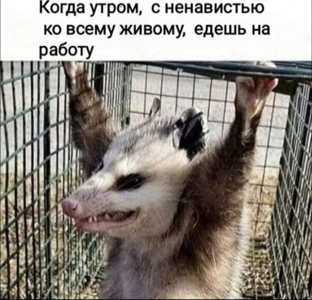 огда УГРОМ С ненавистью КО всему ЖИВОМУ едешь на