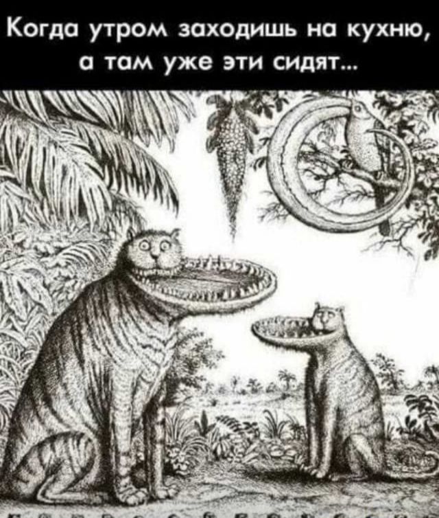 Когда утром заходишь на кухню о там уже эти сидят