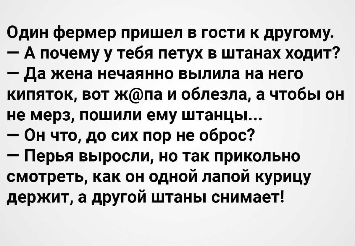 Один фермер пришел в гости к другому А почему у тебя петух в штанах ходит да жена нечаянно выпила на него кипяток вот жпа и облезпа а чтобы он не мерз пошили ему штанцы Он что до сих пор не оброс Перья выросли но так прикольно смотреть как он одной лапой курицу держит а другой штаны снимает