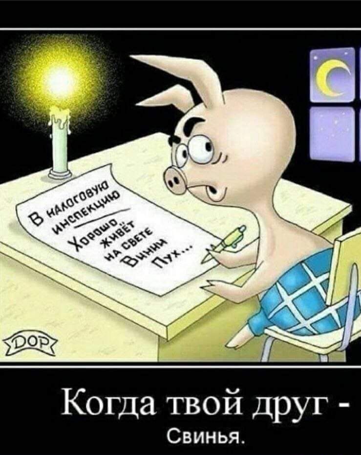 Когда твой друг Свинья