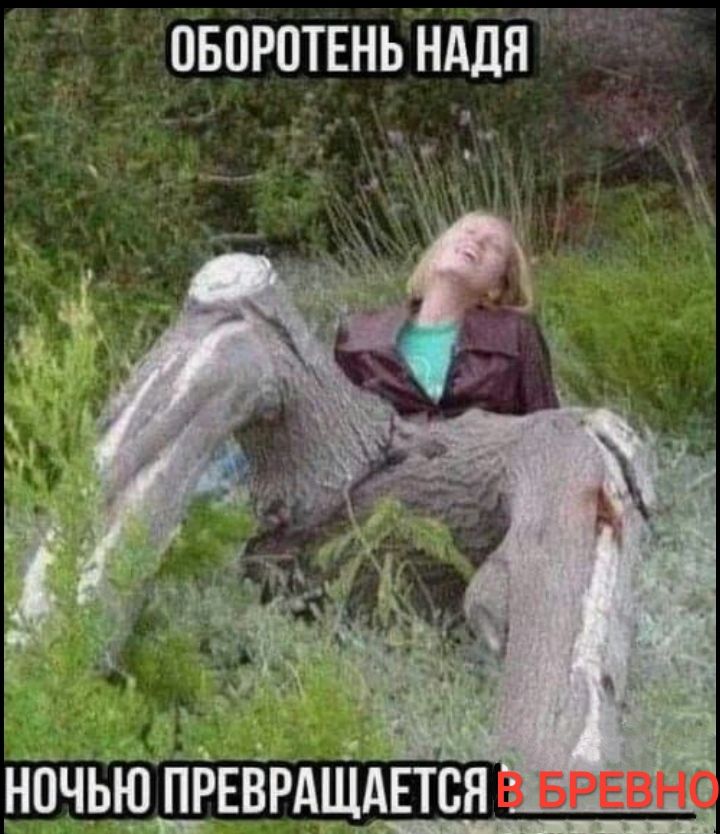 овпротвнь нддя ночъюпйЕЁРдпідЕтся Бревно