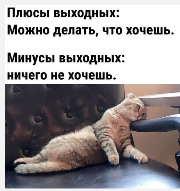 Плюсы выходных Можно делать что хочешь Минусы ВЫХОДНЫХ ничего не хочешь