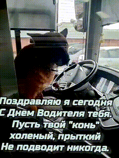 Поздравляю я сегодня
С Днём Водителя тебя.
Пусть твой 
