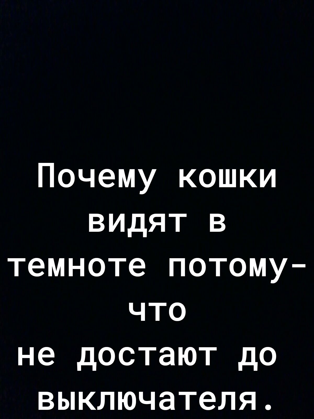 Почему кошки видят в темноте потому что не достают до выключателя