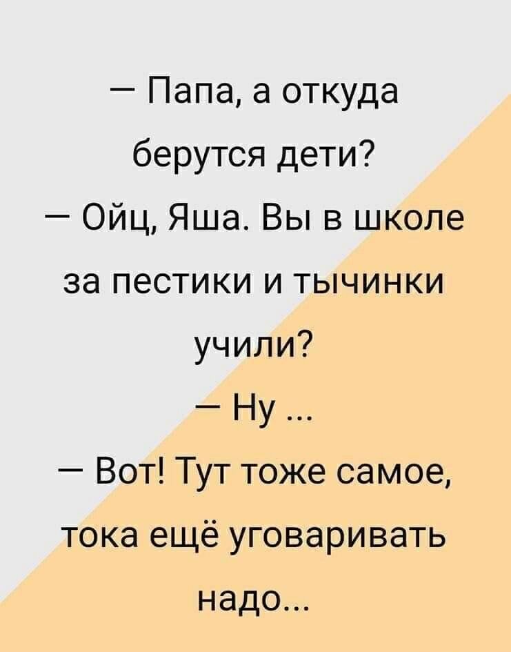Папа а откуда берутся дети ОйцЯшаВывцжшю за пестики и тычинки учили Ну ВоП1Уттожесамоа тока ещё уговаривать надо