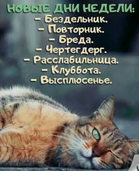 НИ НЕДЕЛИ еЭдельнцк Чт Бреда __ ертегдерг РЁлабппьщда 7 ЩЁЛУЁББОТЗ И ВьксплЁСенЧЁ
