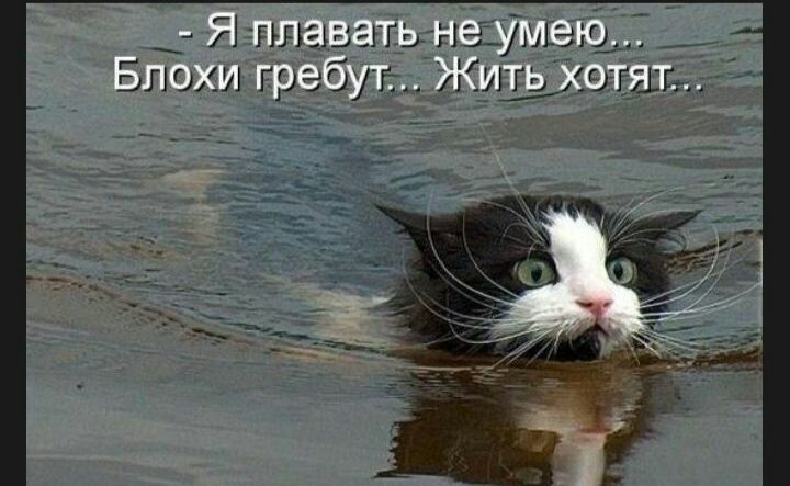 Я нн гыг лвш Эмии гр ил Кидсэты