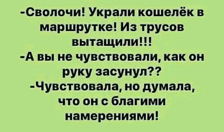 0вопочи Украли кошелёк в маршрутке Из трусов вытащили А вы не чувствовали как он руку засунул Чувствовала но думала что он благими намерениями