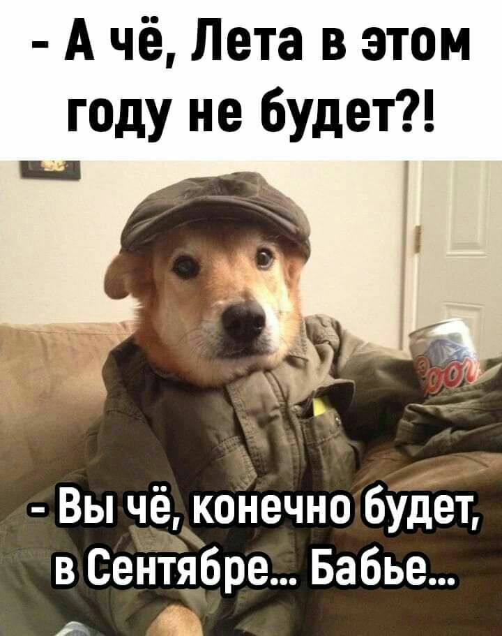 А чё Лета в этом году не будет Вы чё конечно будет в Сентябре Бабье