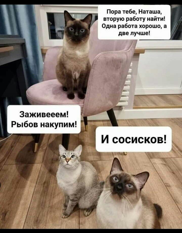Пора тебе Наташа вторую работу найти Одна рабпп хорошо а две лучше Заживееем Рыбов накупим