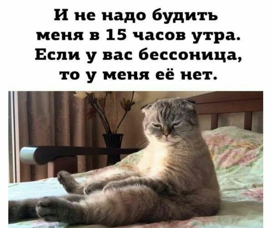 и не надо будить меня в 15 часов утра Если у вас бессоница то у меня её нет