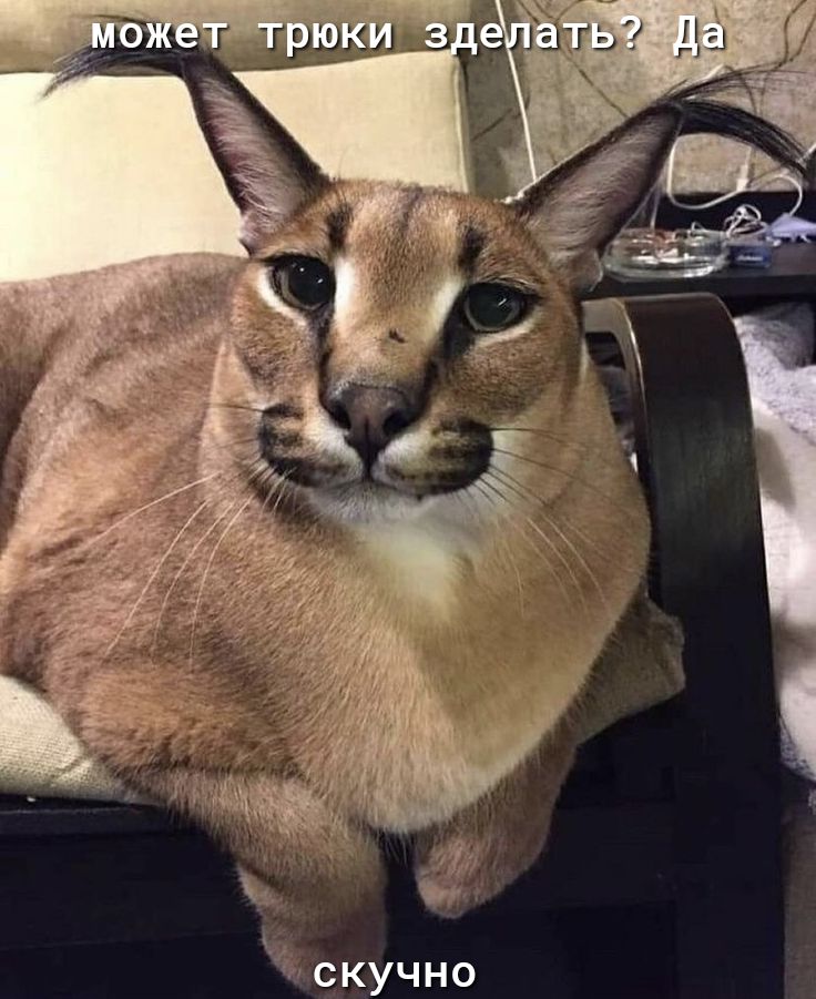 скучно