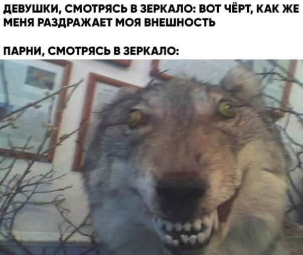 пнушки смотсь заныло шт чеи кдк ж мвия нациями мая пившиость ПАРНИ СМОТРЯСЬ ЗЁЖШО