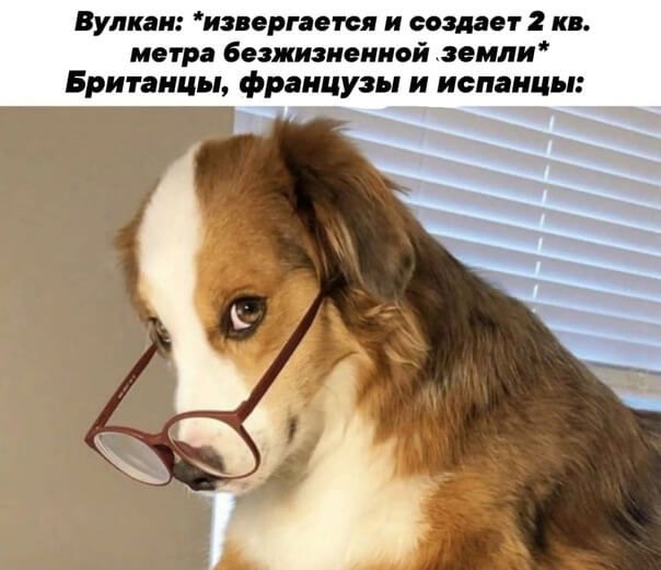 Вупи и на риски и апатит к негр бвииэиеииой випи Британцы французы и испанцы
