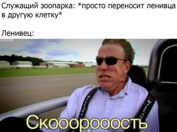 Служащий зоопарка просго переносит ленивца в другую кпетку Лениве