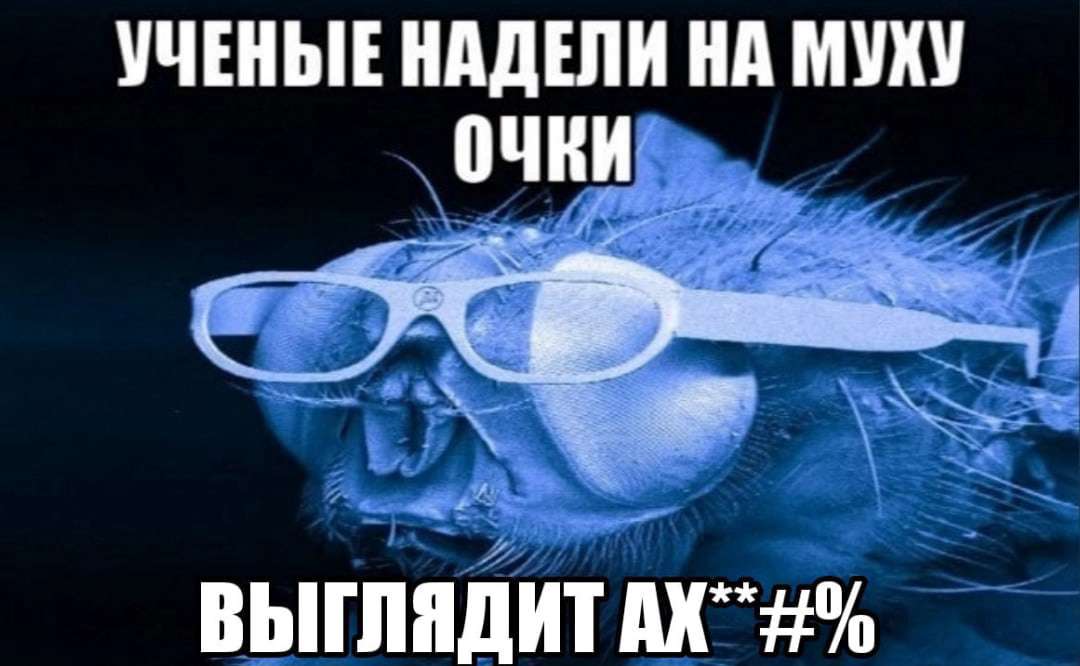 УЧЕНЫЕ ШШШ нд ШШШ выглядит дх