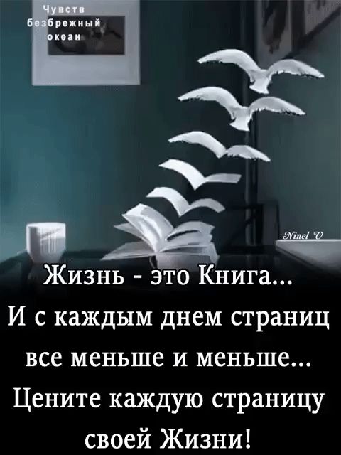 Жизнь это Книга И с каждым днем страниц все меньше и меньше Цените каждую страницу своей Жизни