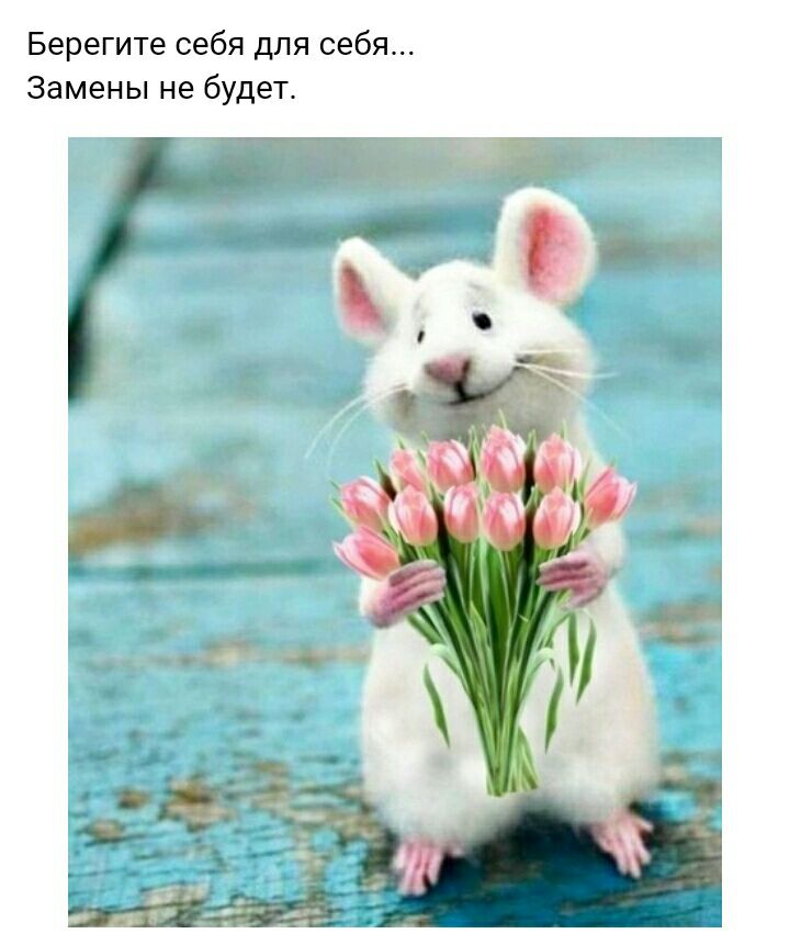 Берегите себя для себя Замены не будет