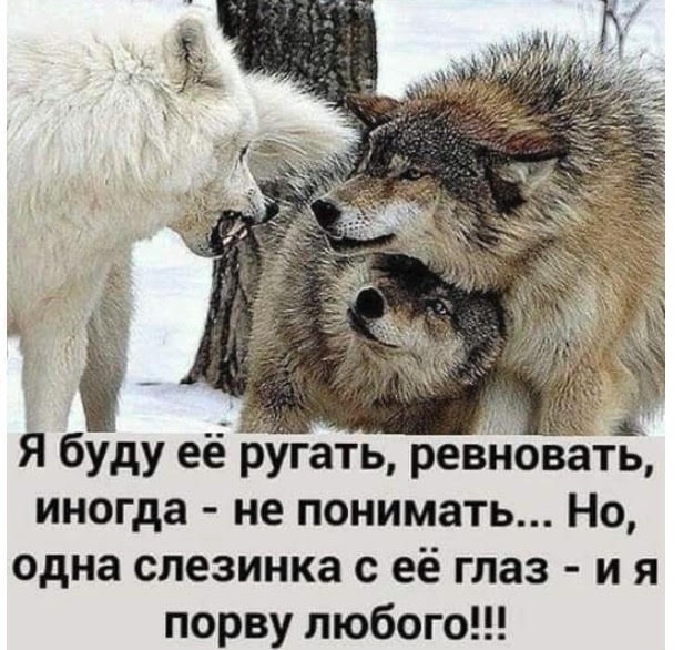 Я иногда не понимать Но одна спезинка с её глаз и я порву любого