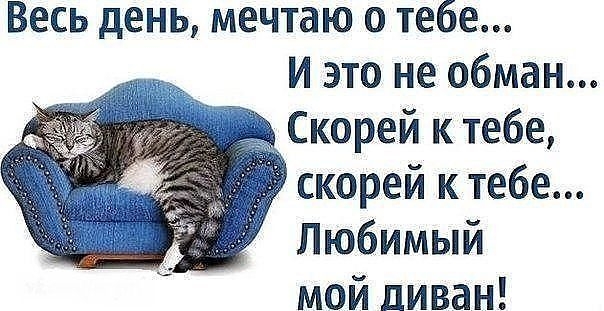 Весь день мечтаю о тебе И это не обман Скорей к тебе скорей к тебе Любимый мой диван