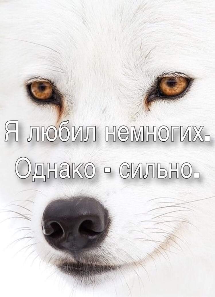 Я бит гжш д ш