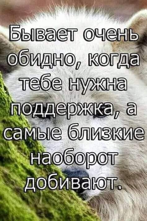 Щит Бываёт ЁНЬ дда _ тизме