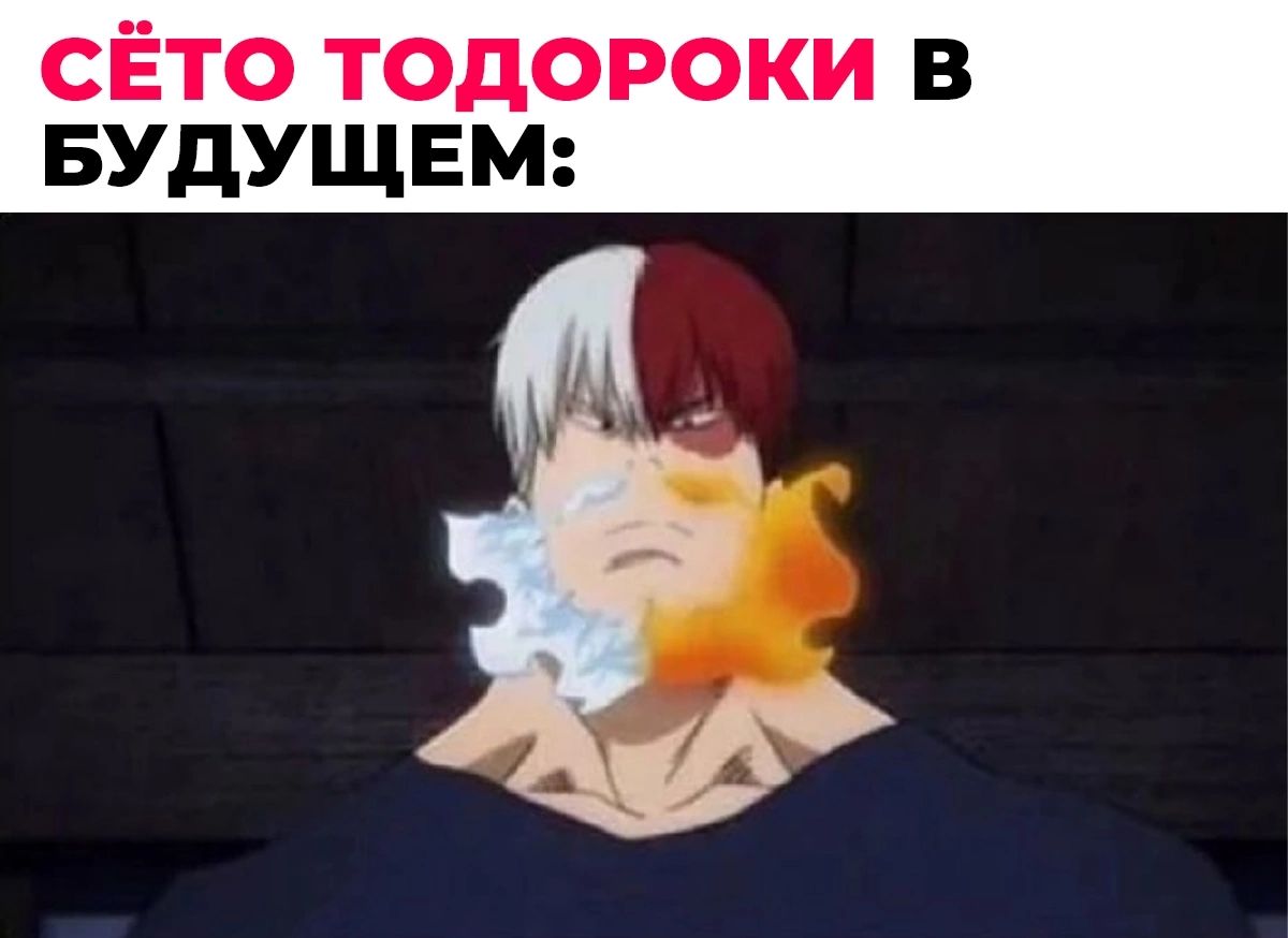 СЁТО ТОДОРОКИ В БУДУЩЕМ
