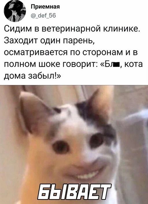 Приемная _оеі_56 Сидим в ветеринарной клинике Заходит один парень осматривается по сторонам и в полном шоке говорит Бу кота дома забыл 1 БывдЕт