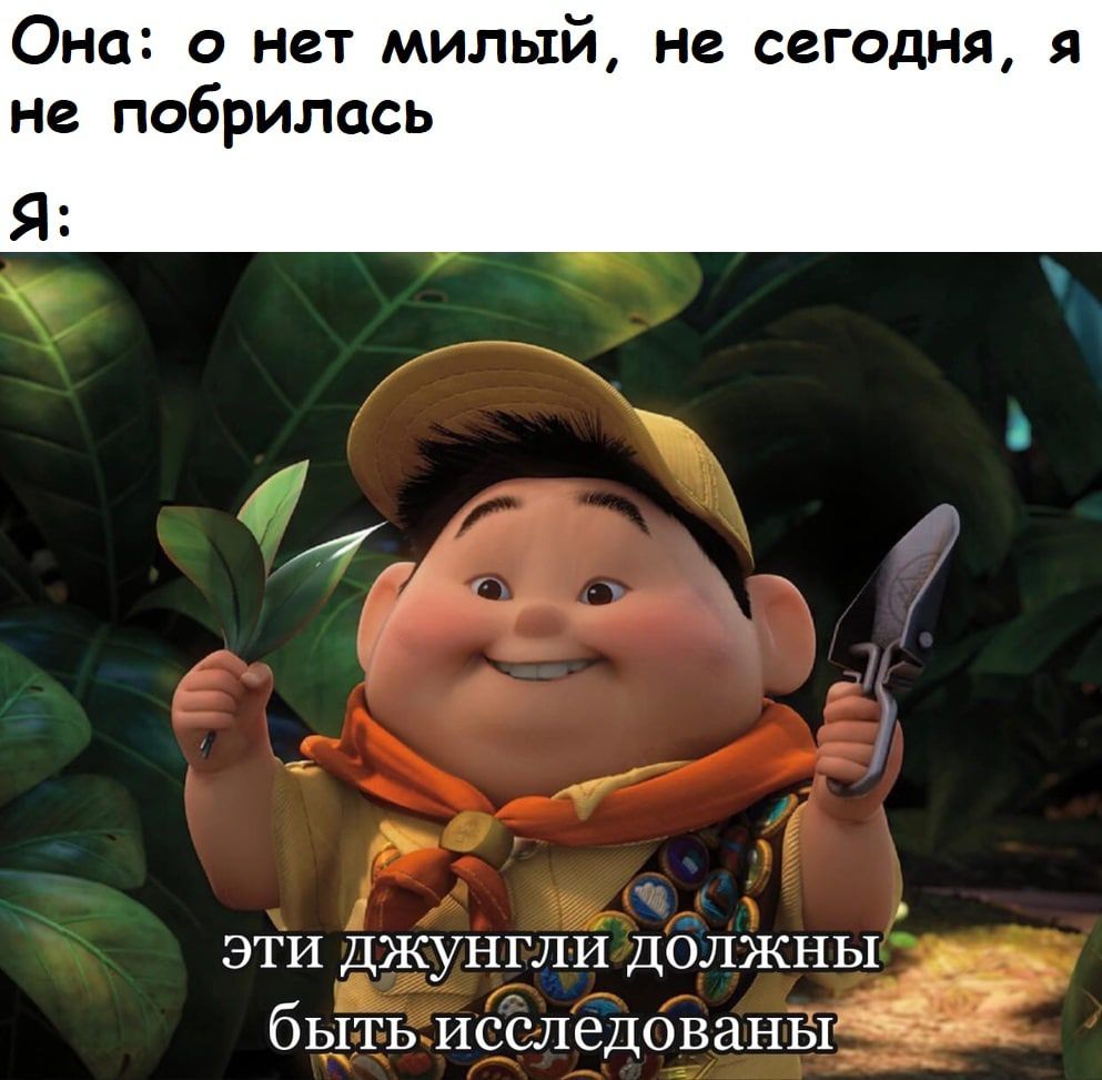 Она 0 нет милый не сегодня я не побрилась эти Джунгли должная Ё бьіть исследованы
