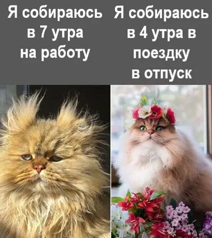 Я собираюсь Я собираюсь в 7 утра в 4 утра в на работу поездку В ОТПУСК