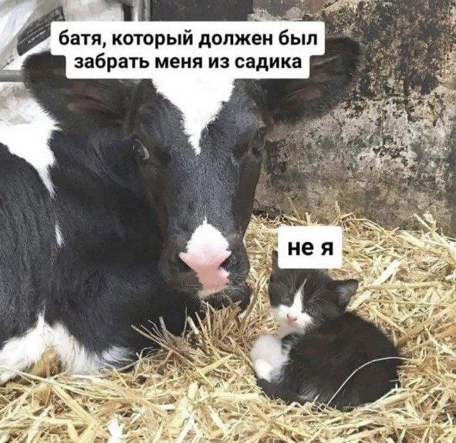 был е х е 4 о Е 2 е 5 ке которы У батя