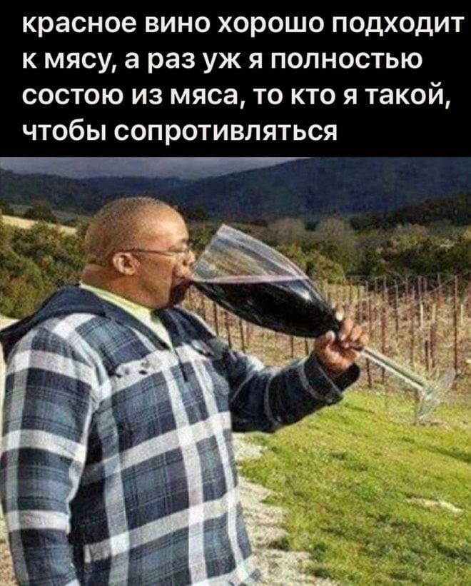 красное вино хорошо подходит к мясу а раз уж я полностью состою из мяса то кто я такой чтобы сопротивляться