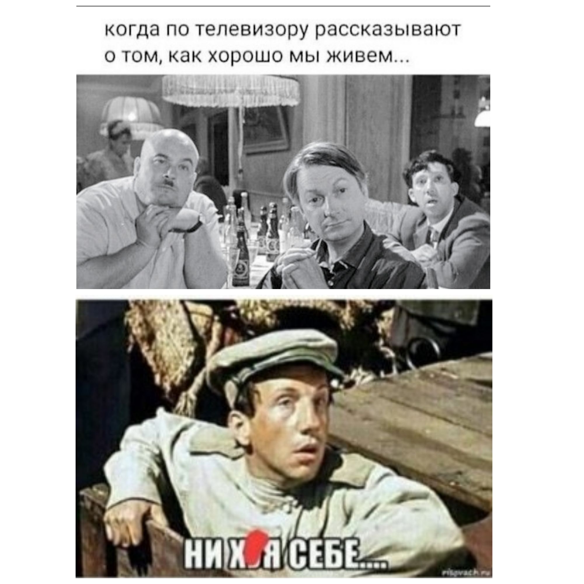 когда по телевизору рассказывают о тм как хорошо мы живем