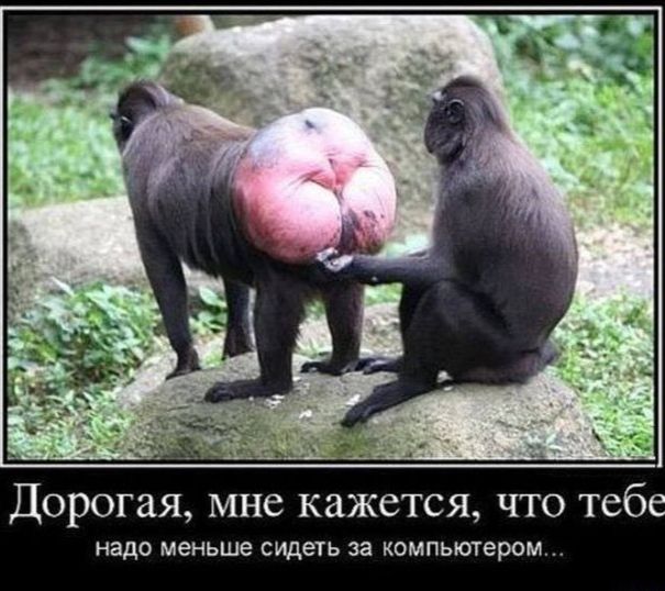 Дорогая мне кажется чт теб надо меньше пищать за компьютером