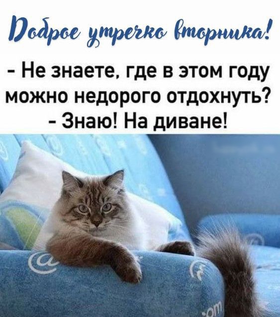 жиреиш Не знаете где в этом году можно недорого отдохнуть Знаю На диване
