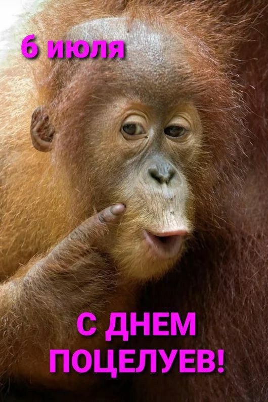 С ДНЕМ ПОЦЕЛУЕВ