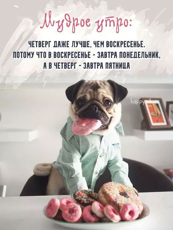 ЧЕШЕРГ ПШЕ ЛУЧШЕ ЧЕМ ВПЕКРЕЕЕНЬЕ ППТПНУ ПП В ВПЕИРЕВЕИЬЕ ЗППП ПНЕЛЕПЬИИК М ЧЕТВЕРГ МВПЯ ПИТИИЩ